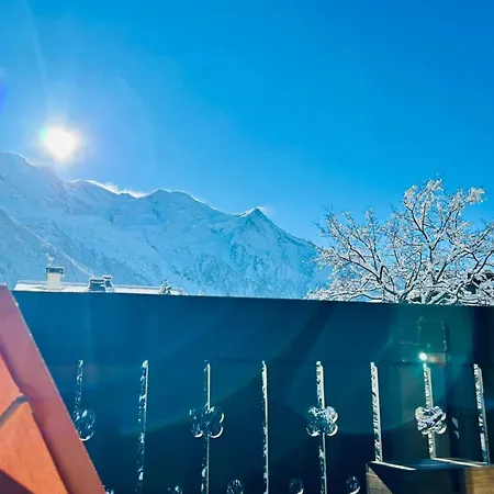 Lumineux Avec Vue Sur Le Mont Blanc *
